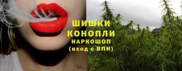 дмт Иннополис