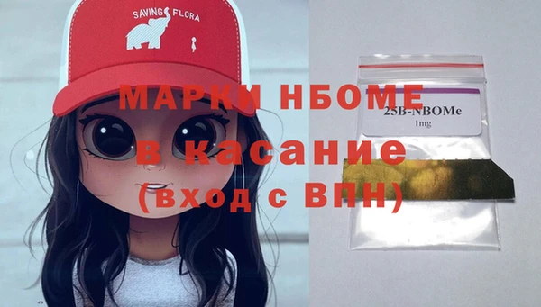 хмурый Инсар