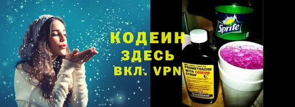 хмурый Инсар