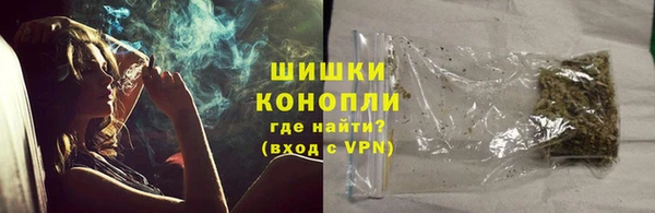 хмурый Инсар