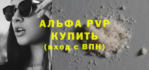 хмурый Инсар
