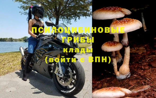 хмурый Инсар