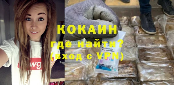 хмурый Инсар
