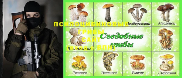 хмурый Инсар
