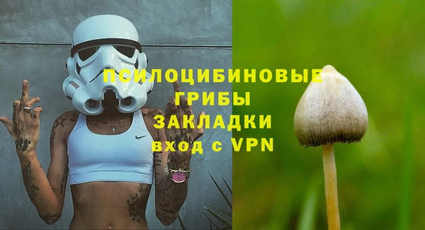 хмурый Инсар
