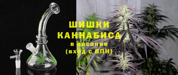 хмурый Инсар