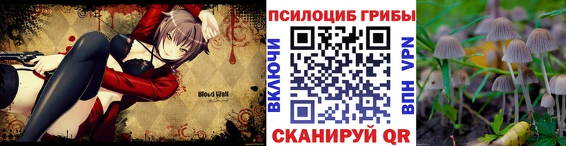 Купить  Ермолино  Псилоцибиновые грибы GOLDEN TEACHER 